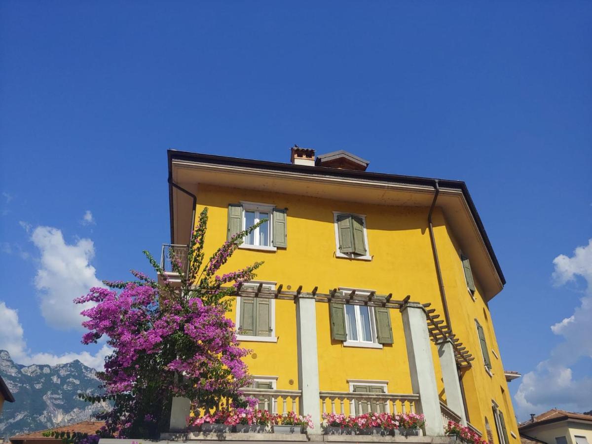 Studio Apartments Baia Azzurra 7 托尔博莱 外观 照片